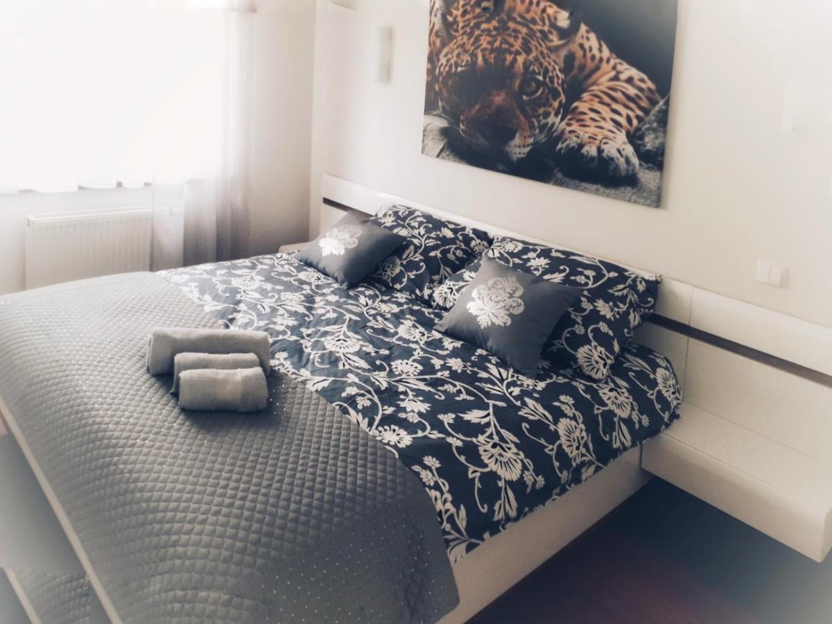 Apartmán Apartament Sloneczny Ełk Exteriér fotografie